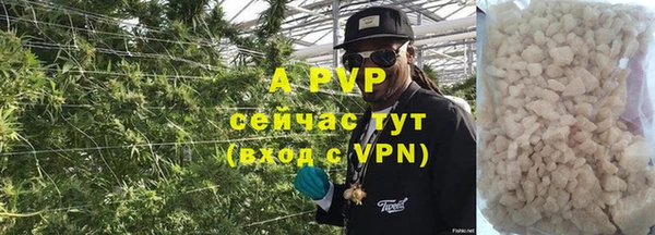 СК Нея