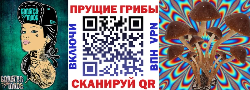 Псилоцибиновые грибы Cubensis  Пушкино 