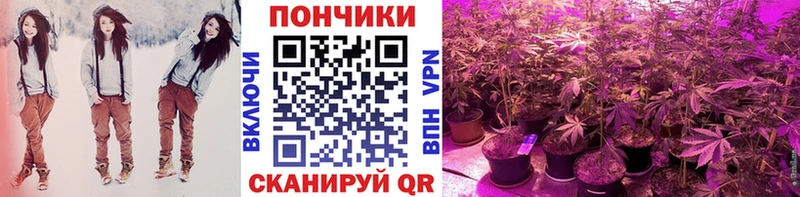 что такое   Пушкино  Бошки марихуана VHQ 